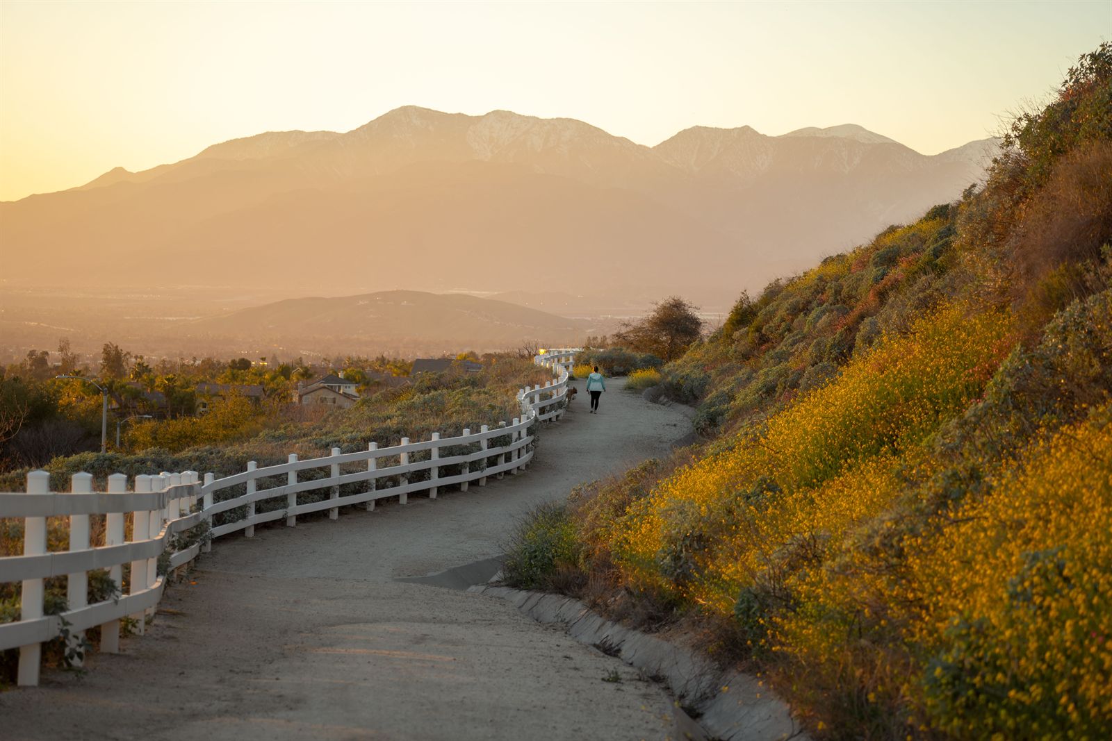 A hillside trail above the Inland Empire at sunset, with a person walking a dog beside a white ranch fence, golden shrubs, and the San Bernardino Mountains in the distance